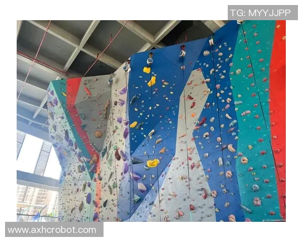 杭州攀岩队荣获全国攀岩技术排行榜第二名展现实力与潜力